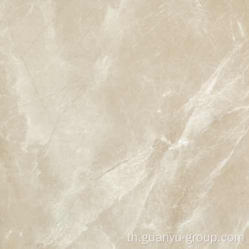 ปูกระเบื้องเคลือบด้าน SOFT POLISHED PORCELAIN TILE